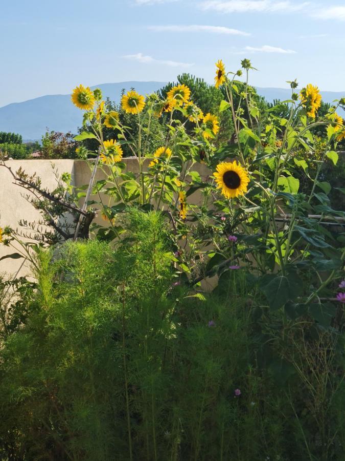 Petit De Provence Ferienhaus *