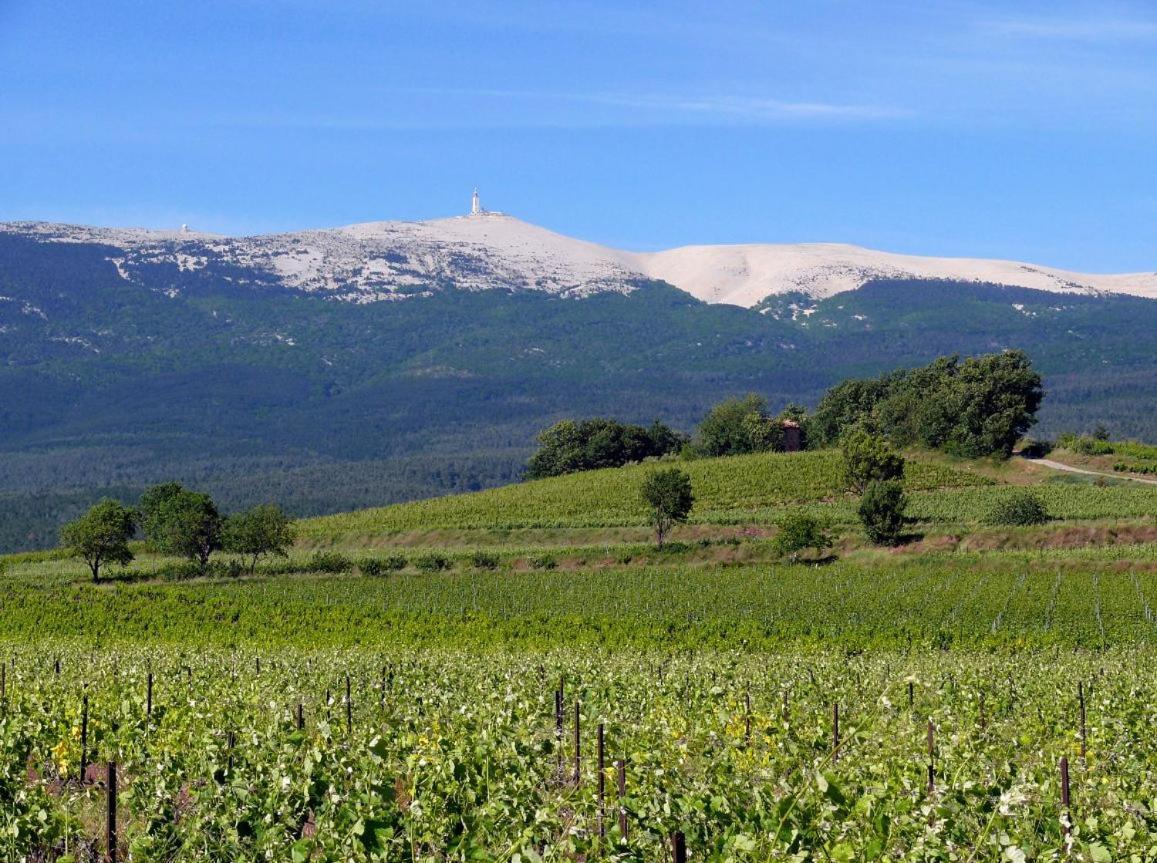 Petit De Provence * Mazan