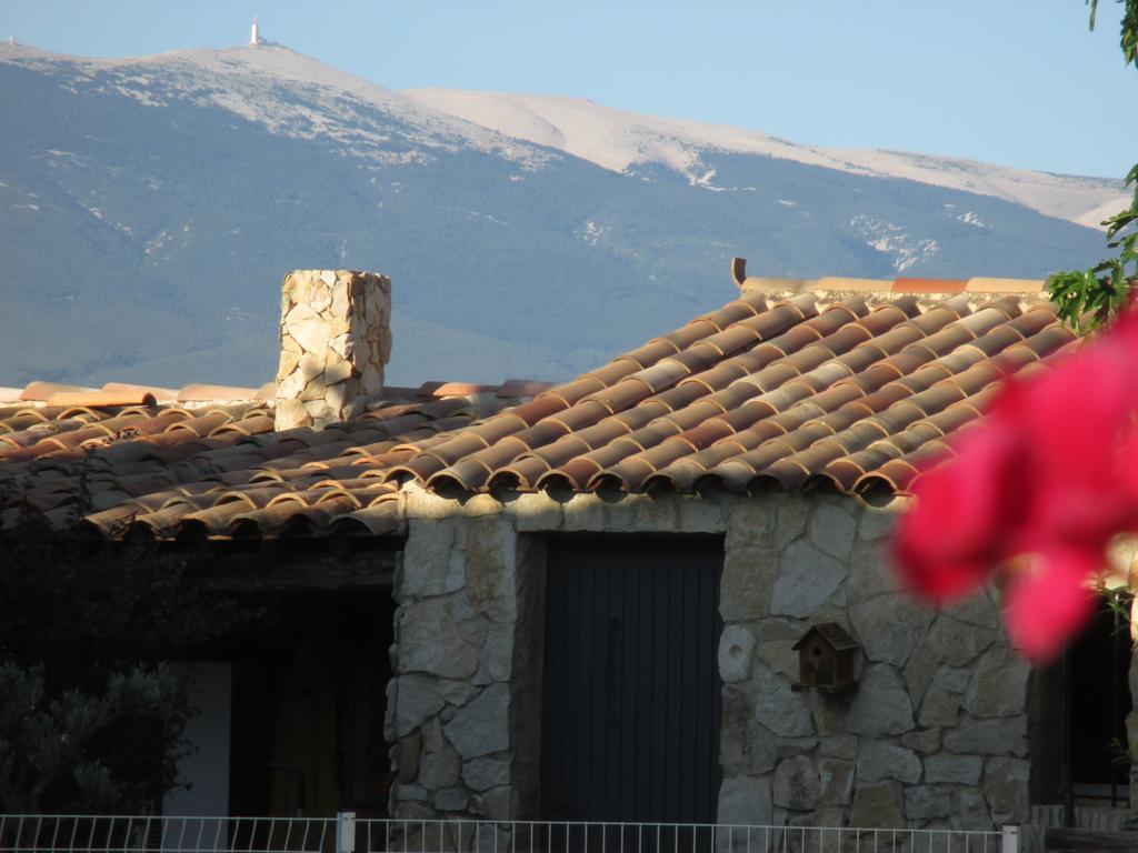Petit De Provence * Mazan